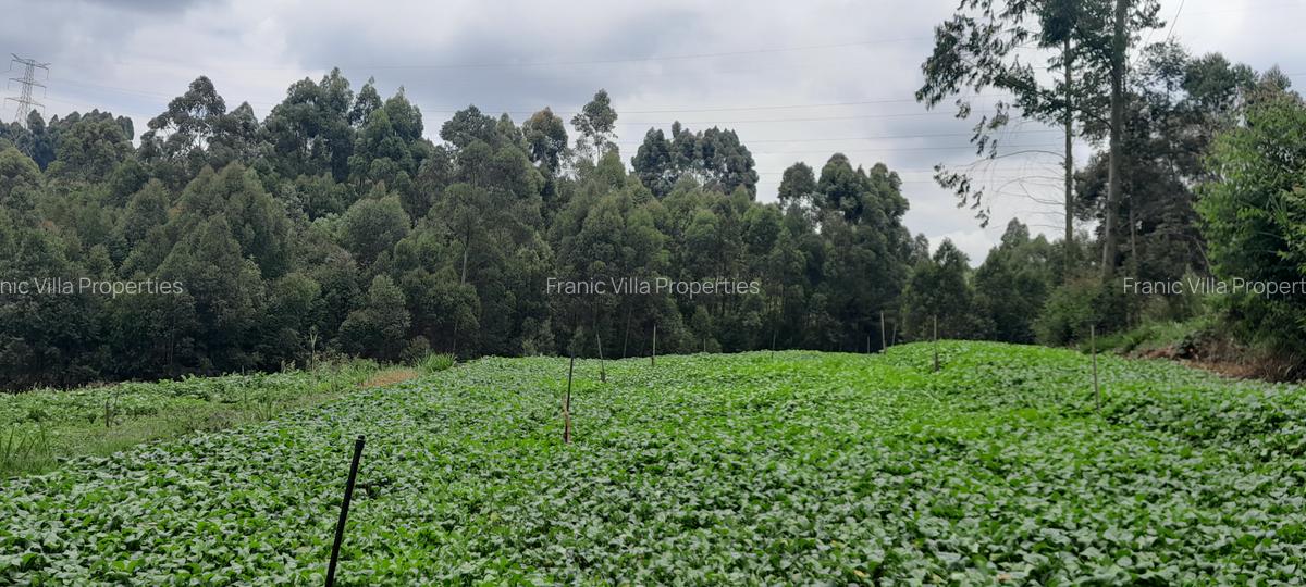 Residential Land at Kabuku Near St Paul University - 6
