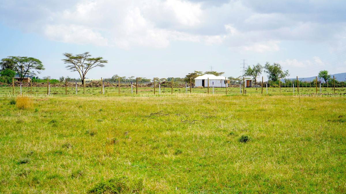 Residential Land in Naivasha - 5