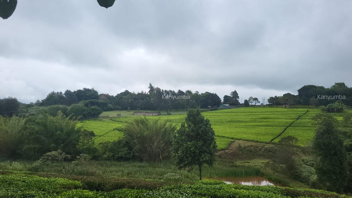 10 ac Land at Tigoni - 3