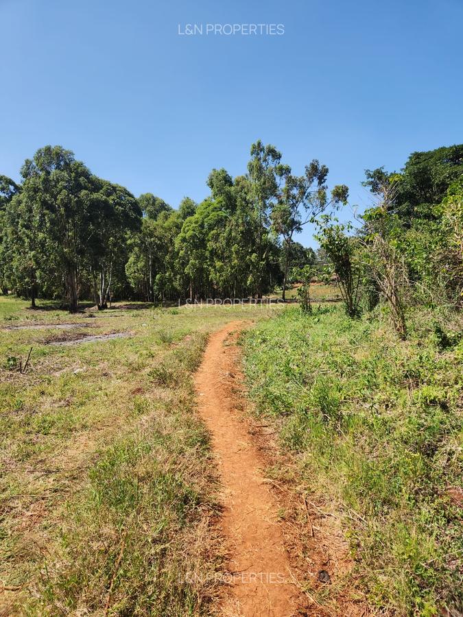 Residential Land at Runda Paradise - 1
