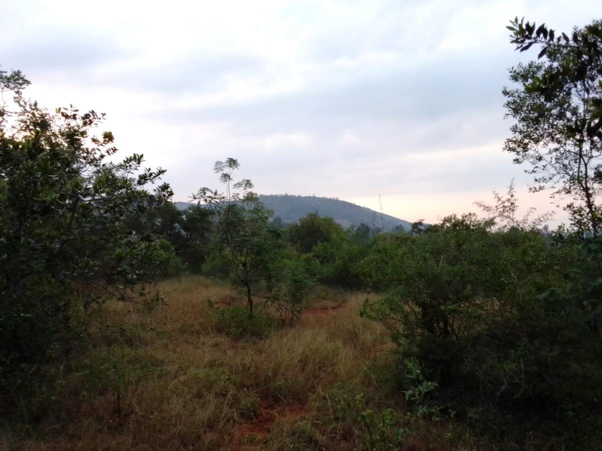 9 ac Land at Ithanga - 13