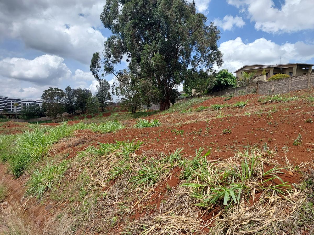 Residential Land at Rosslyn Valley - 7