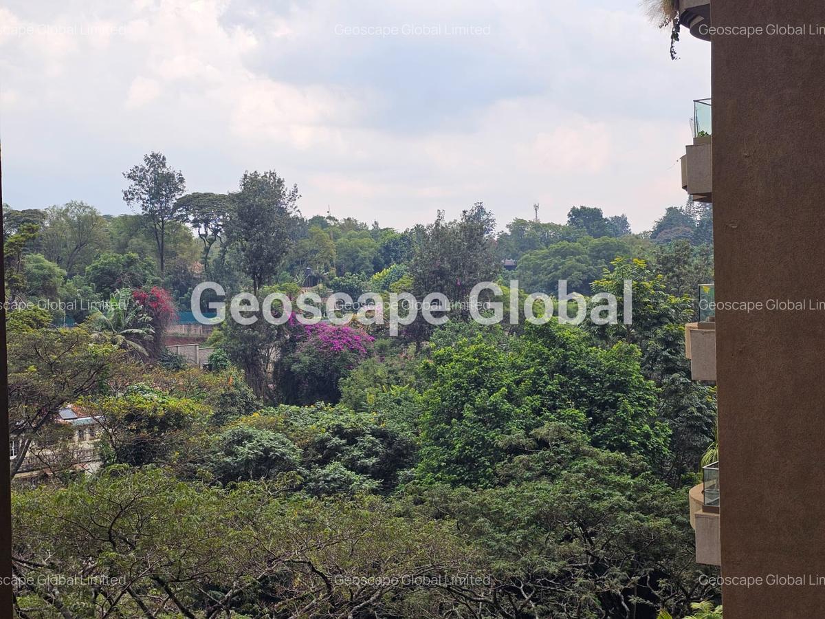 Furnished 3 Bed Apartment with En Suite in Spring Valley - 4