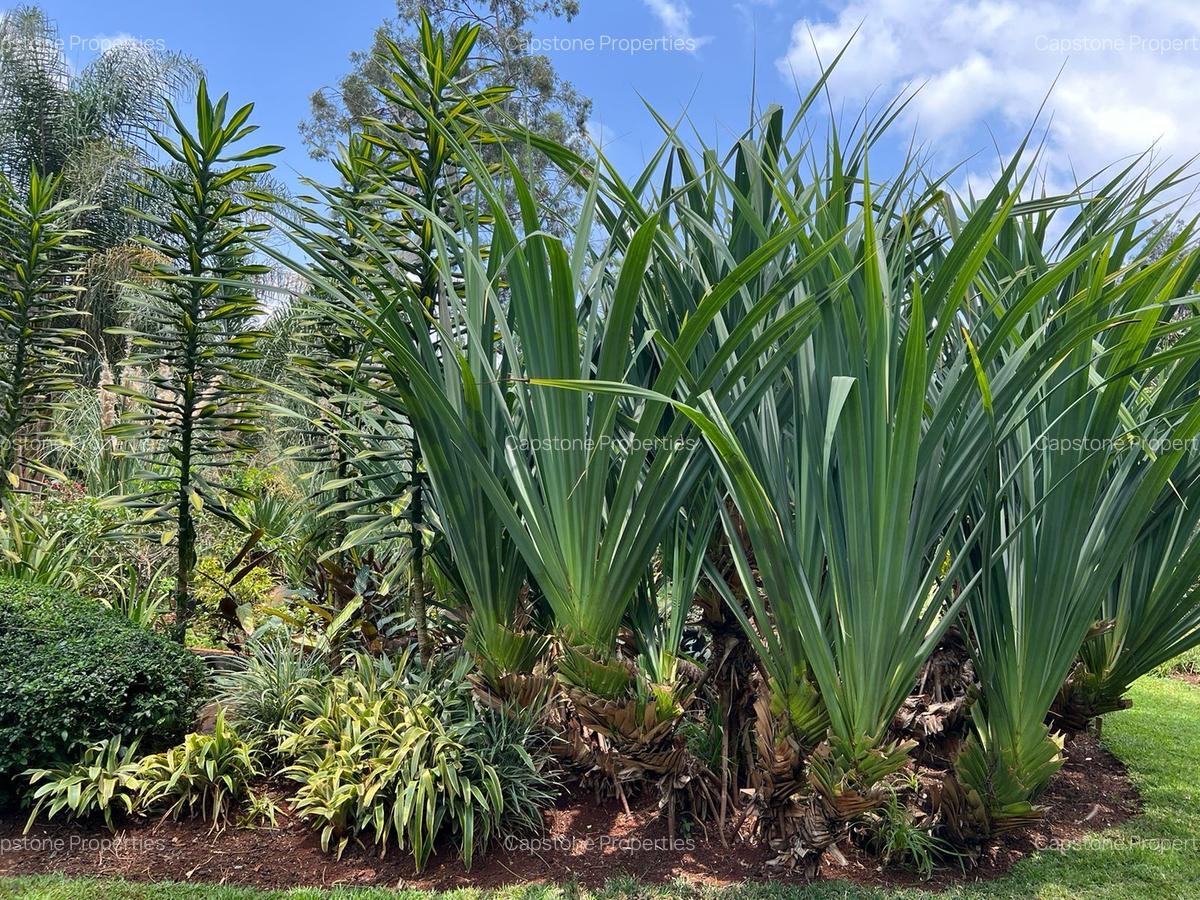 2 Bed House with En Suite in Muthaiga - 2