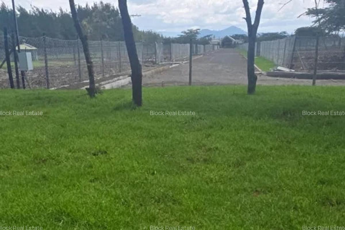 0.25 ac Residential Land in Nanyuki - 4