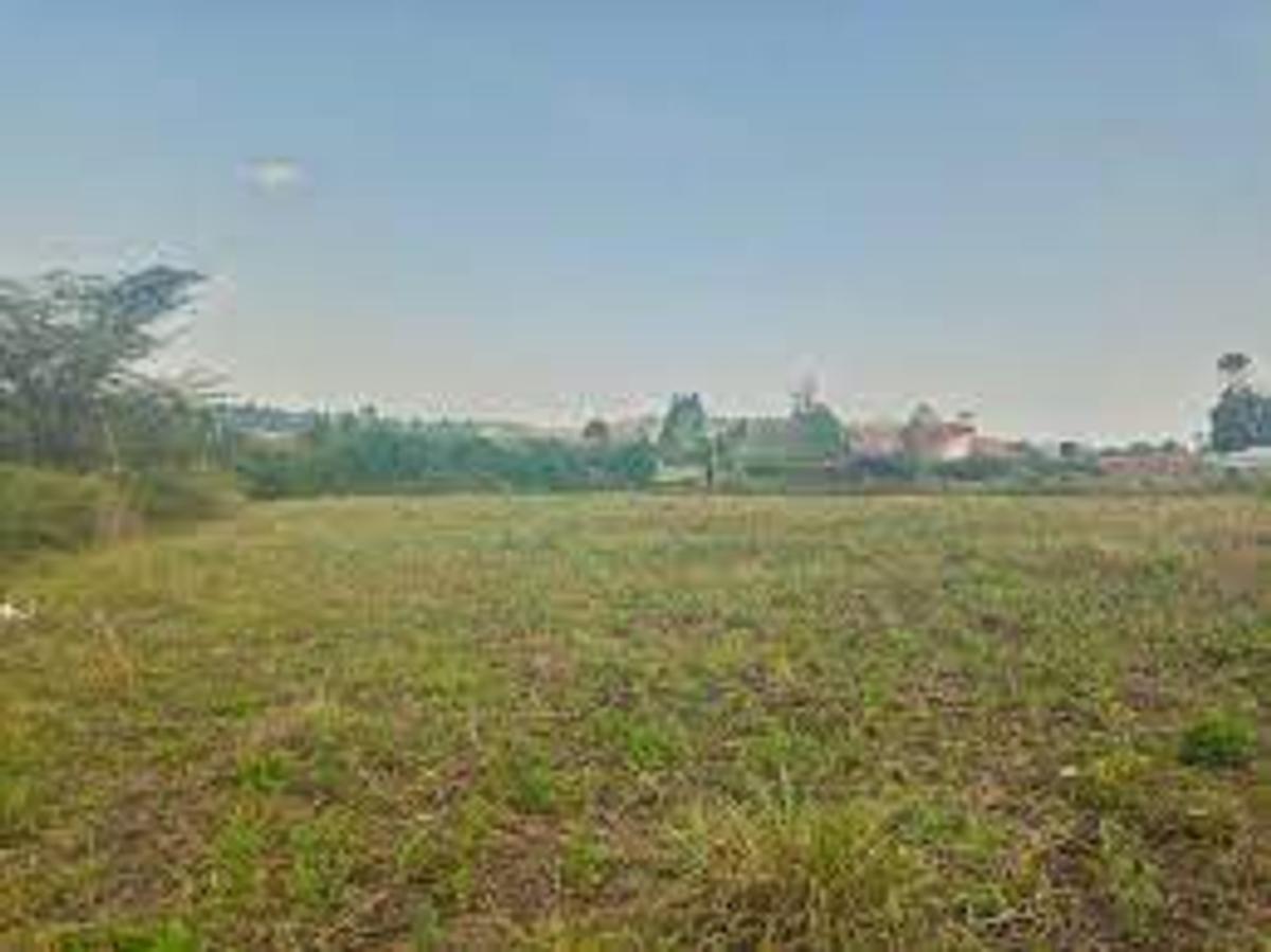 Land in Westlands Area - 2