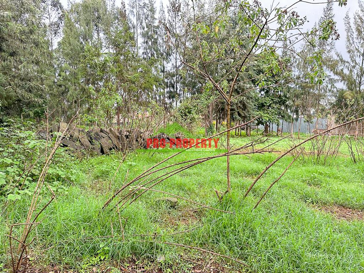 0.05 ha Commercial Land in Kikuyu Town - 3