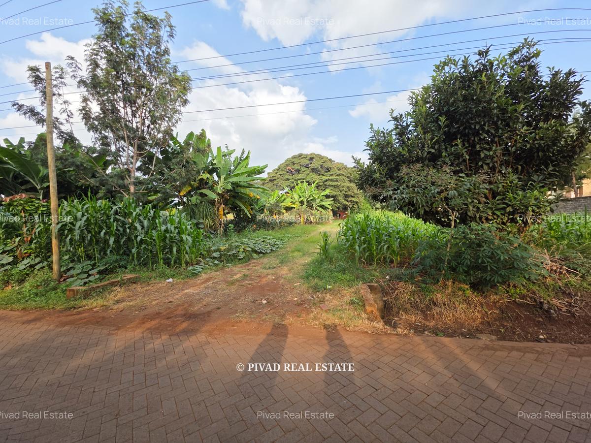 5 ac Land in Runda - 4