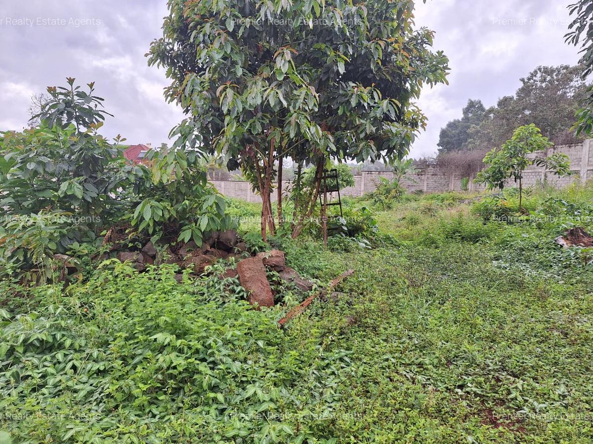 0.5 ac Residential Land at Runda - 6
