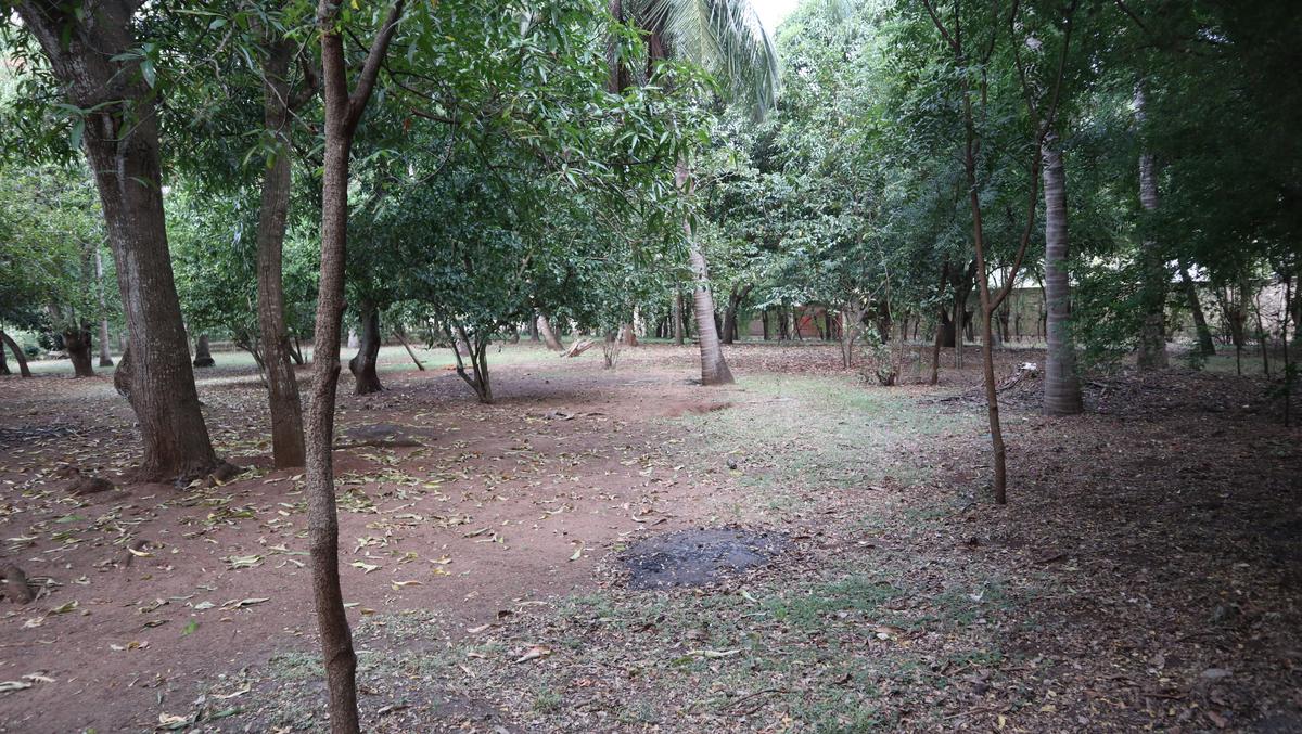 1 ac Land in Kikambala - 15