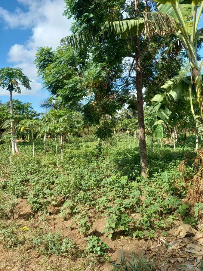 2 ac Land in Ukunda - 4