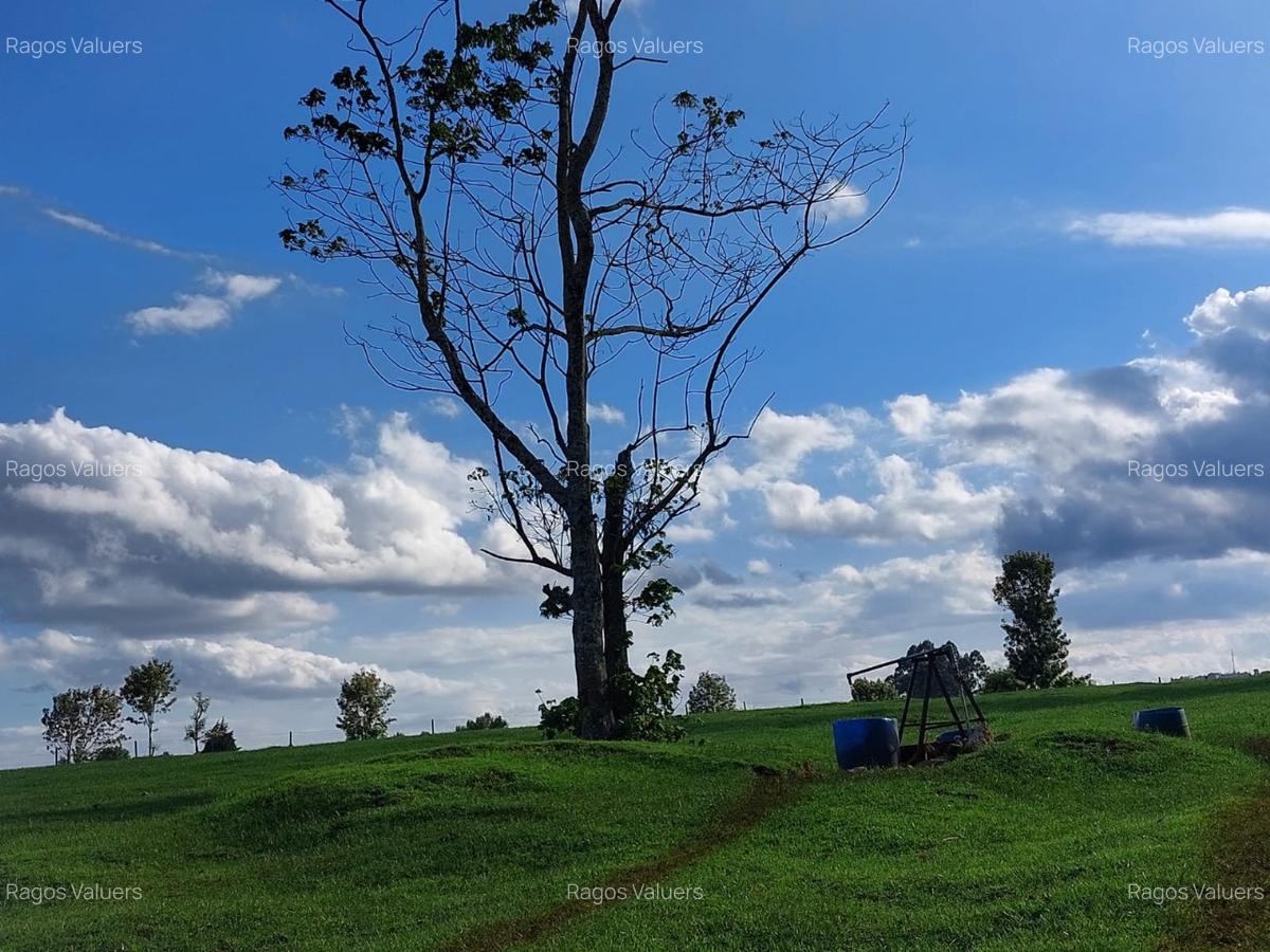 21 ac Land in Tigoni - 3