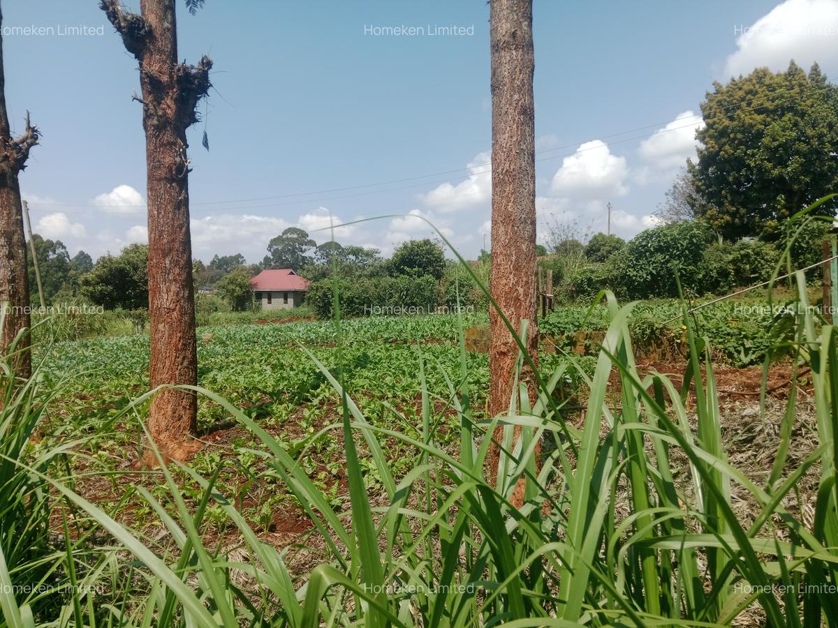 1 ac Land at Ngecha - 6