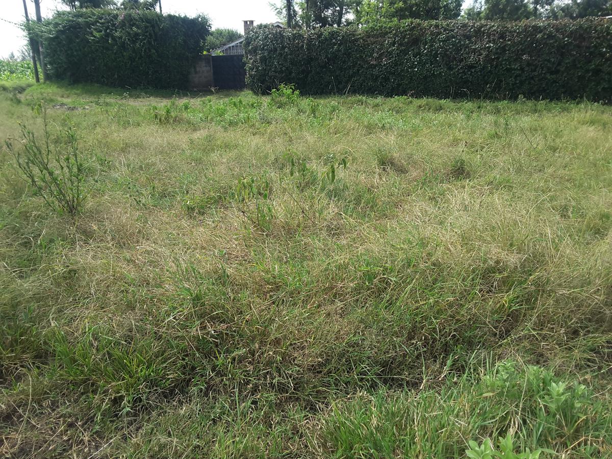 0.125 ac Residential Land in Ongata Rongai - 11