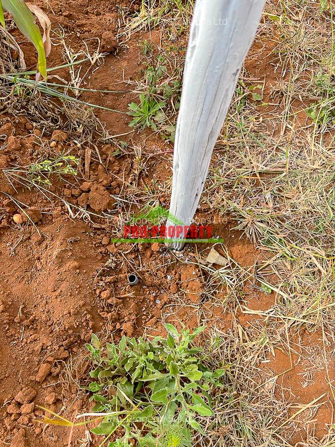 0.05 ha Residential Land in Kamangu - 13