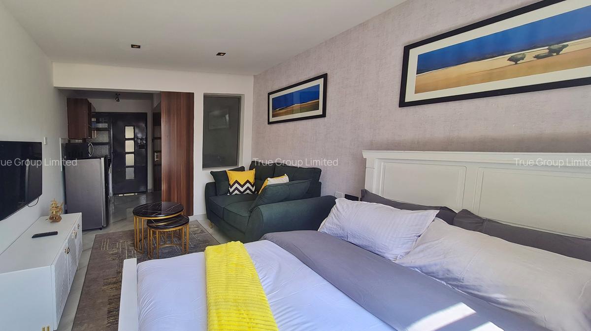 Serviced Studio Apartment with En Suite at Riruta - 3