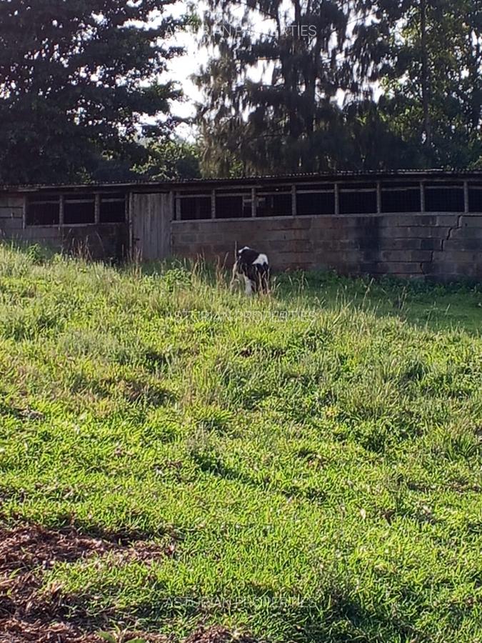 36 ac Land in Kikuyu Town - 14