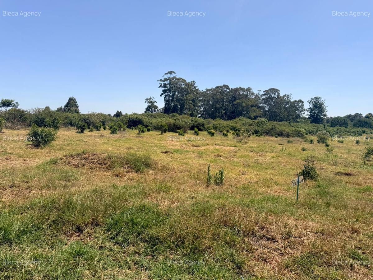 500 m² Land at Ruiru-Githunguri Road - 5