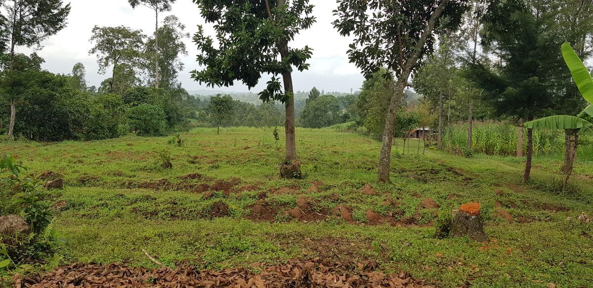 Residential Land at Mokoyot Close - 12