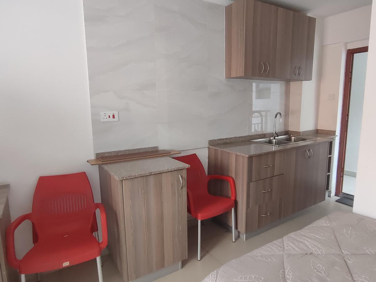 Studio Apartment with En Suite in Nairobi West - 11