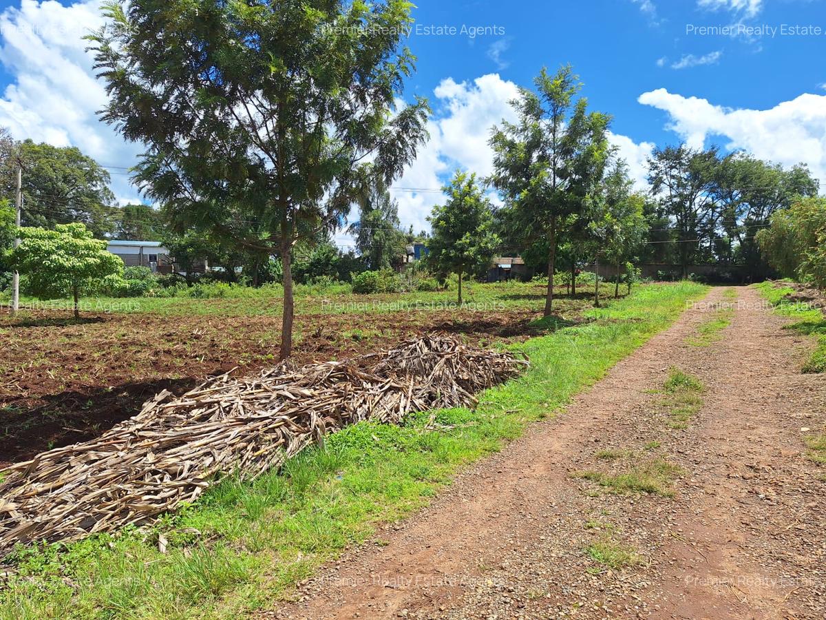 1 ac Residential Land at Tigoni - 3