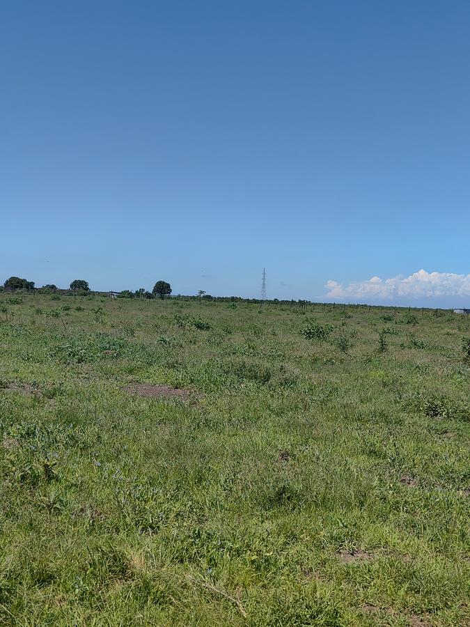 Residential Land at Kimuri - 13