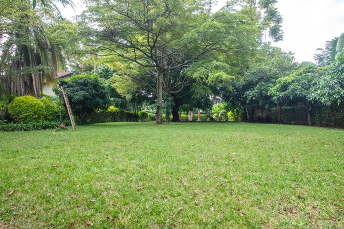 1.25 ac Land in Lavington - 1