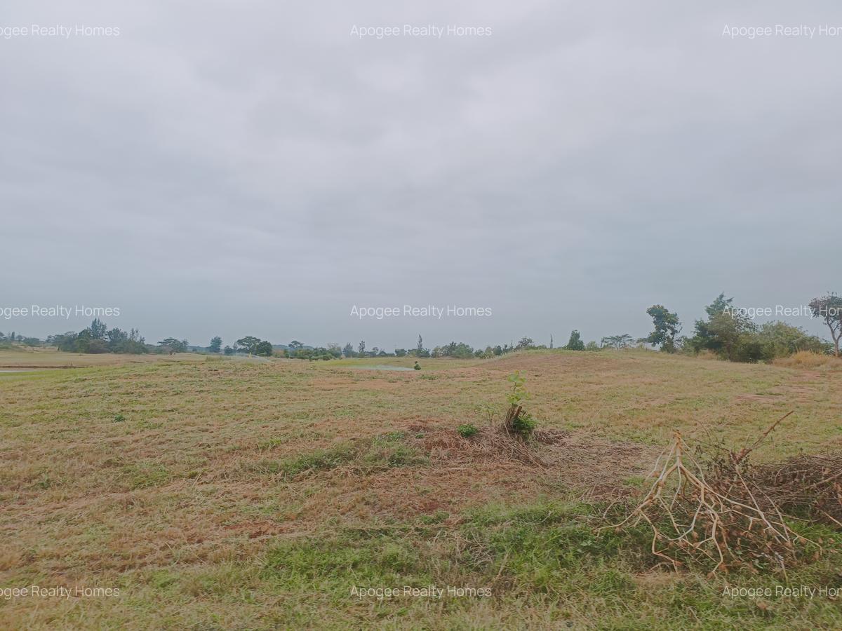 0.25 ac Land at Thika Greens Golf Estate - 7