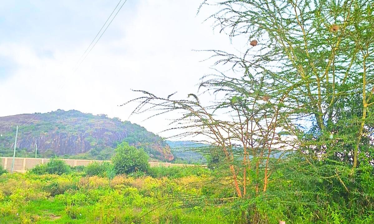 2.5 ac Commercial Land at Mombasa Road - 4