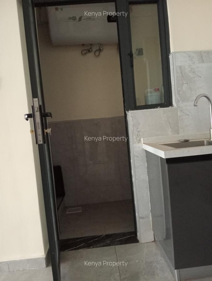 2 Bed Apartment with En Suite in Lavington - 20