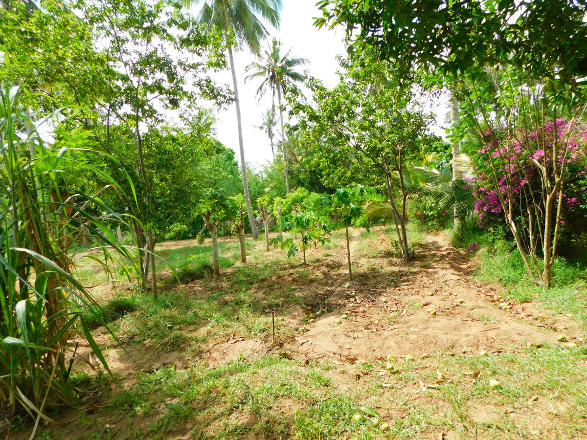 8 ac Land in Kikambala - 2