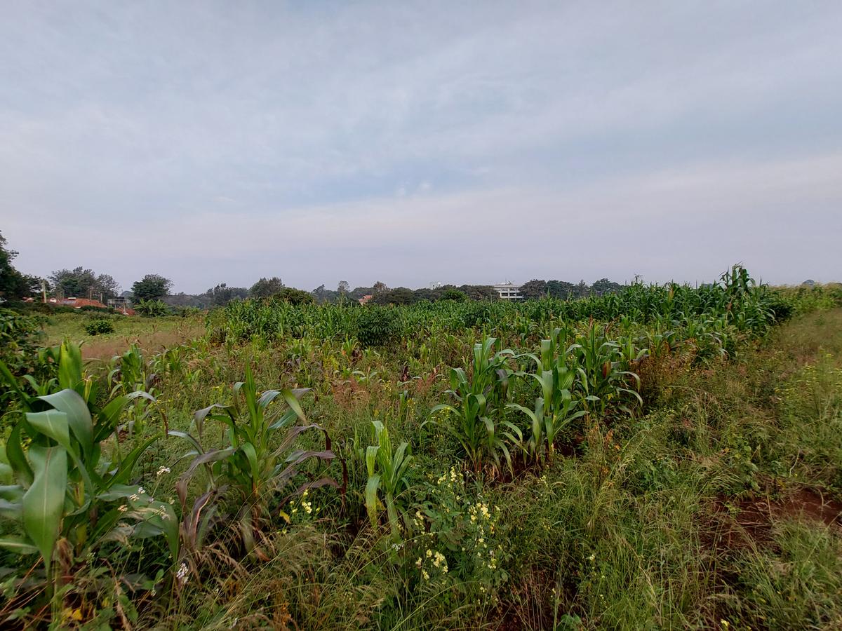 Residential Land at Kirawa Road - 11