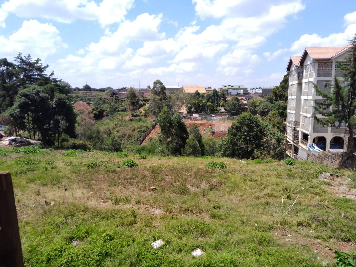 1.25 ac Land in Ruaka - 2