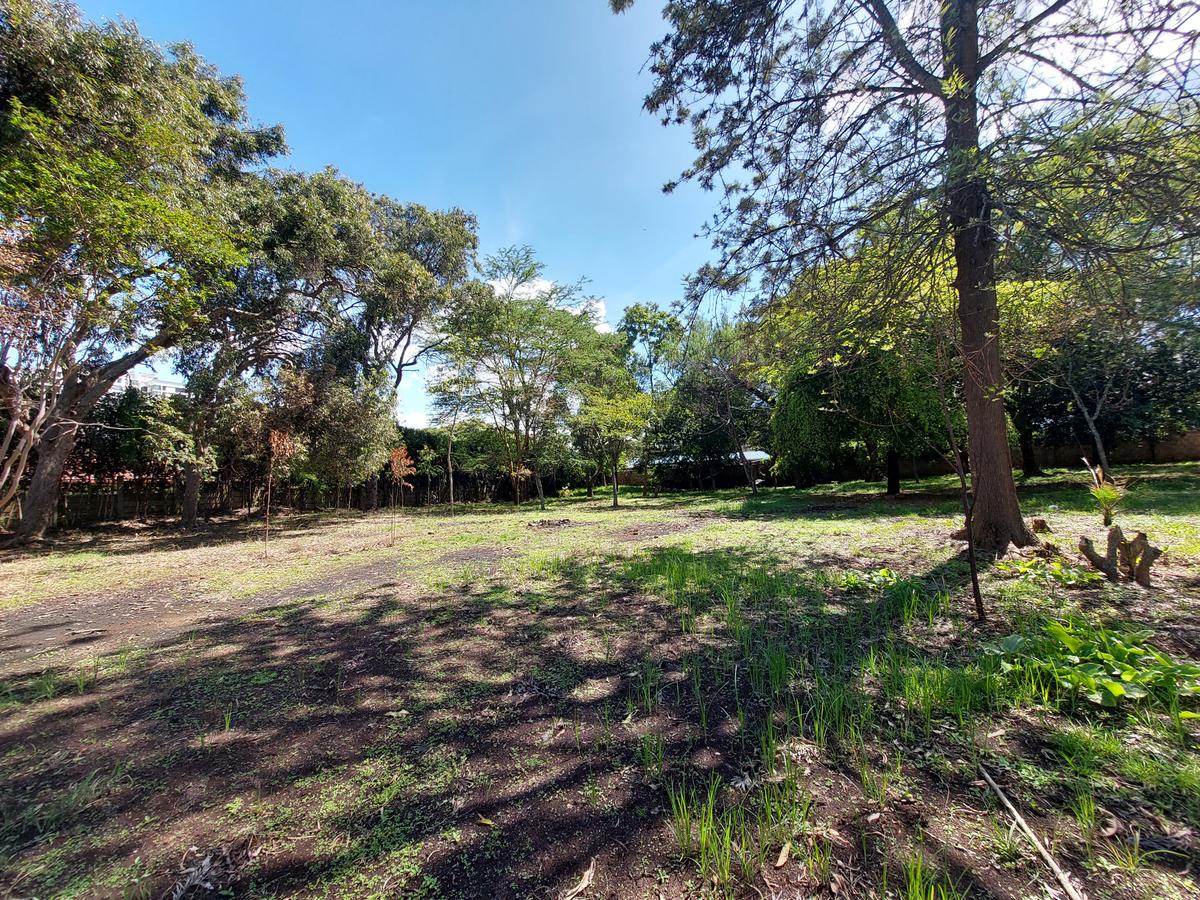 Residential Land at James Gichuru - 6