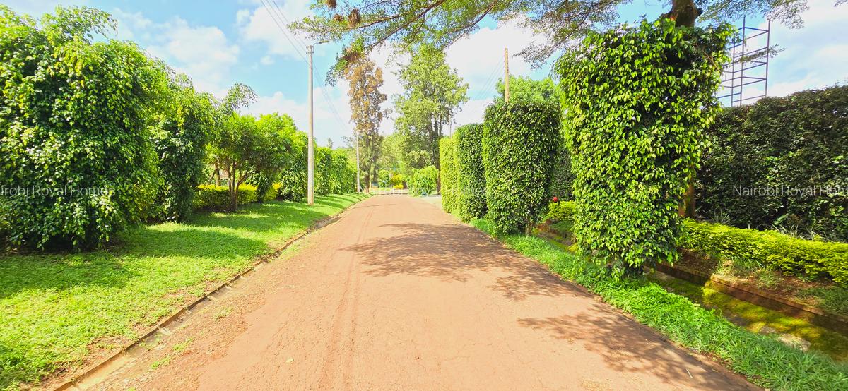 Residential Land at Mumwe - 11