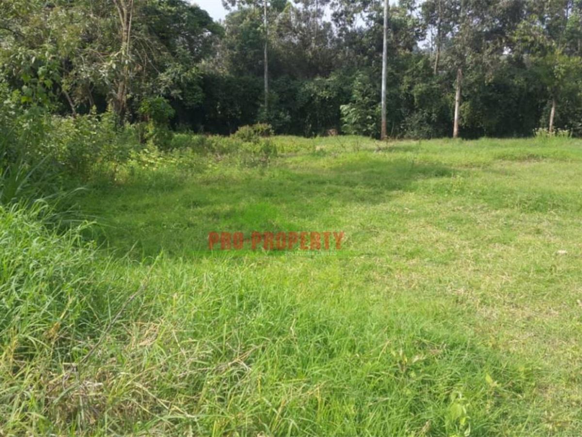 4,000 m² Land in Kikuyu Town - 15