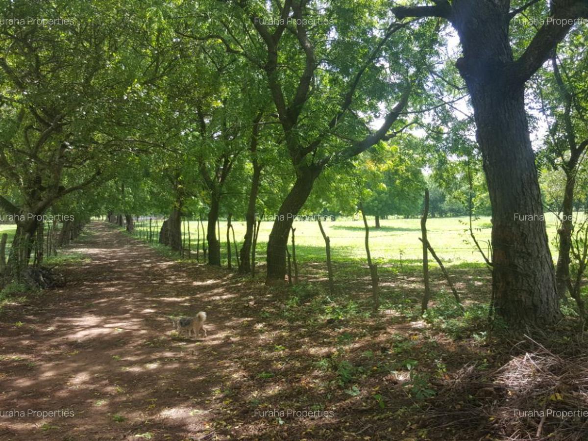 866,058 m² Commercial Land at Vipingo Beach - 6