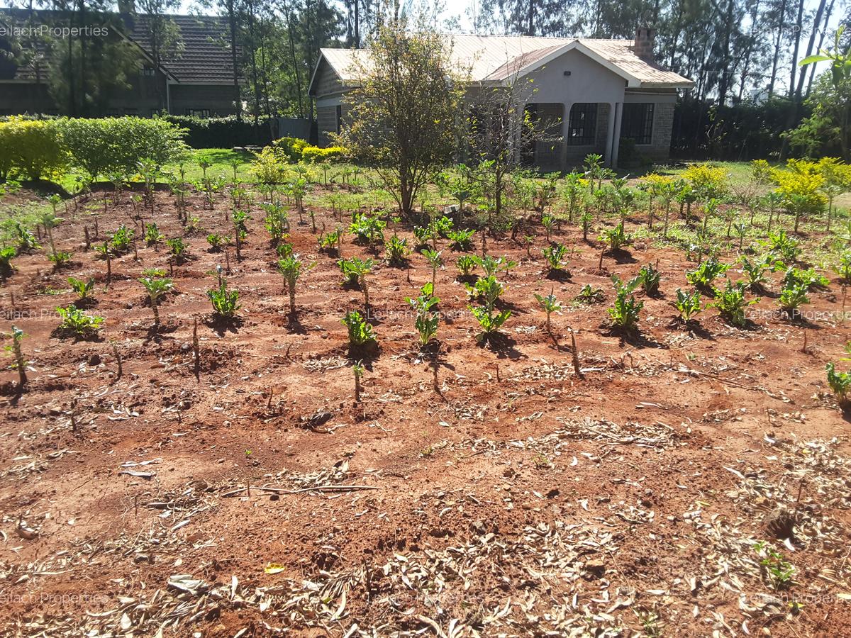 3 Bed House with En Suite in Ongata Rongai - 4