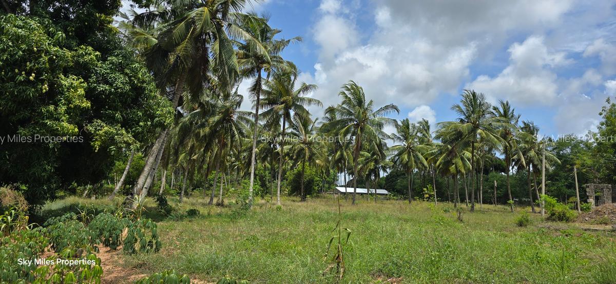 6 ac Land at Bomani - 9