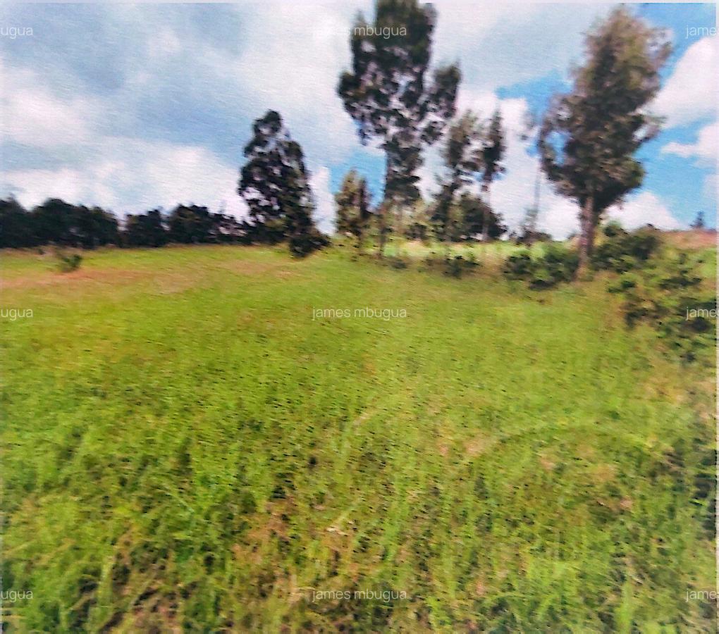 0.125 ac Land in Kamangu - 3