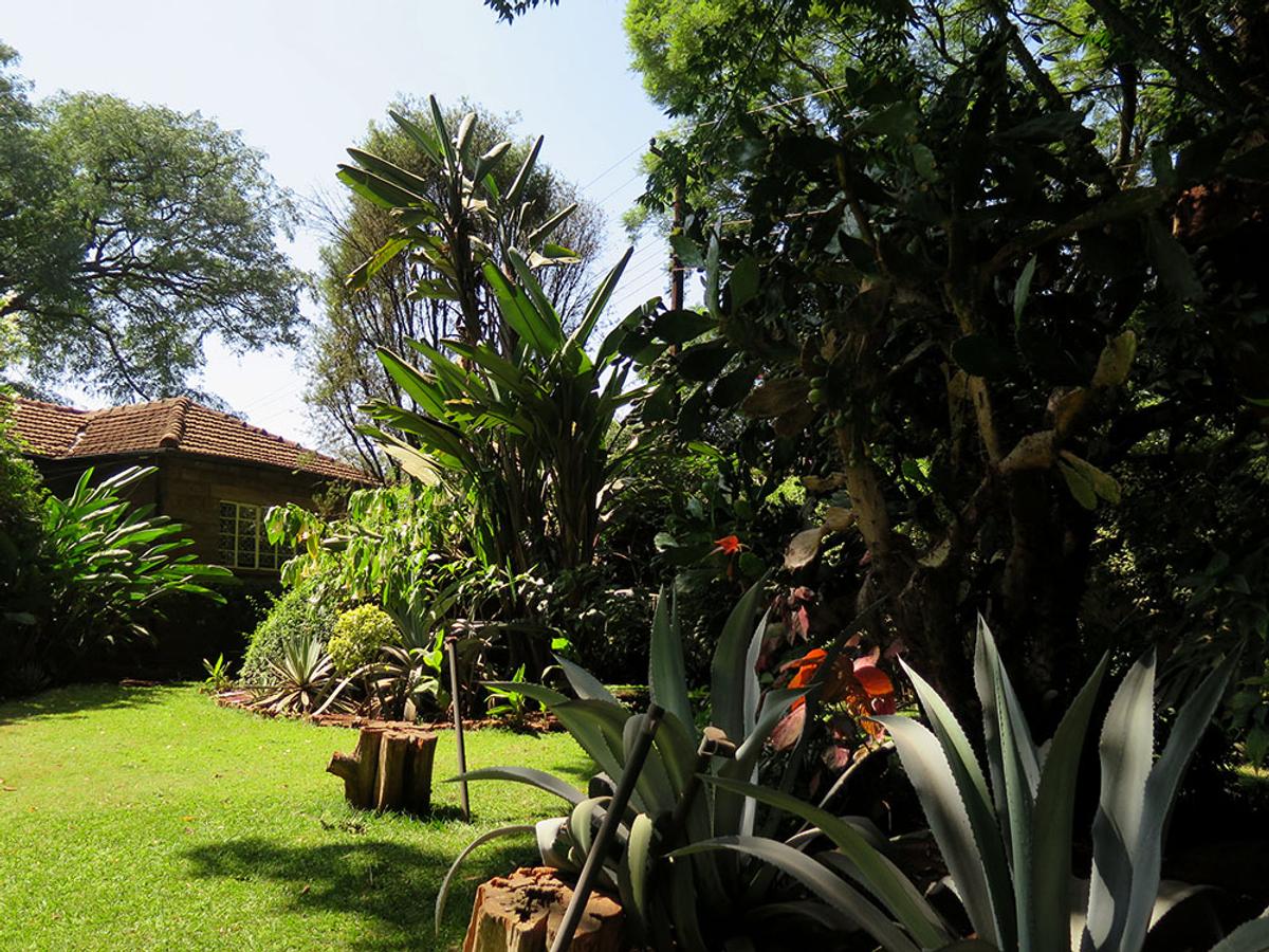 4 Bed House with Staff Quarters in Lavington - 6