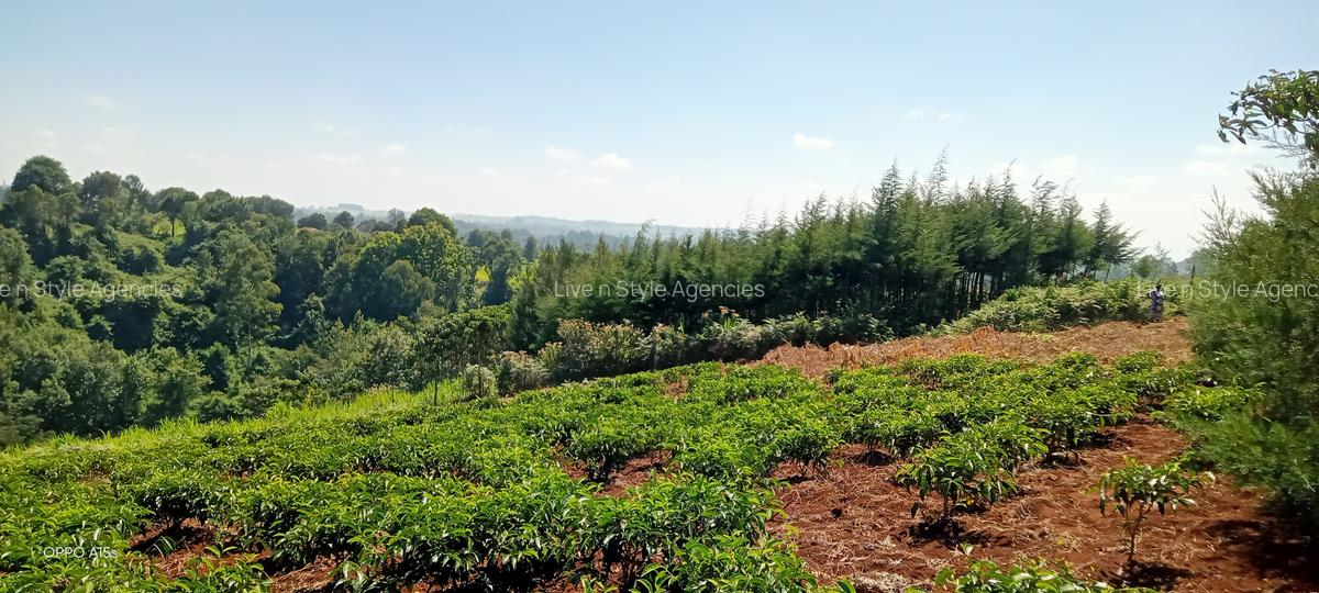 Residential Land in Redhill - 7