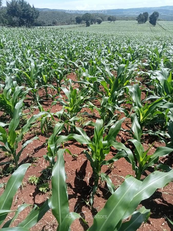 Land at Muhotetu - 3