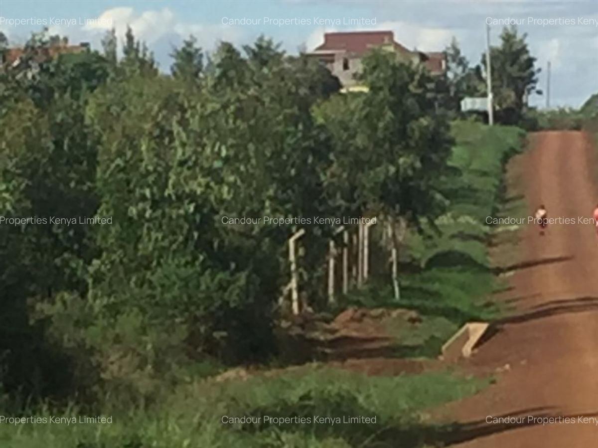 10,000 ft² Residential Land at Mhasibu Gardens Silver Birch Ruiru - 1