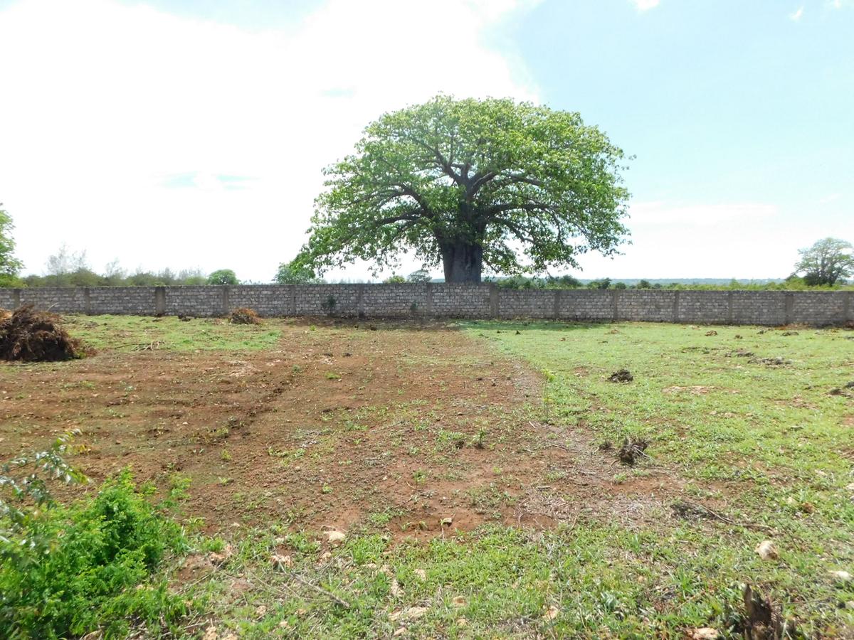 10,000 ft² Land at Vipingo - 1