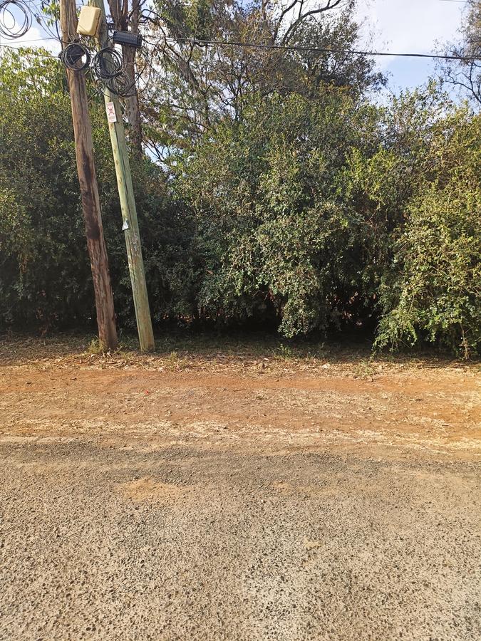 Residential Land at Tumbili Road - 3