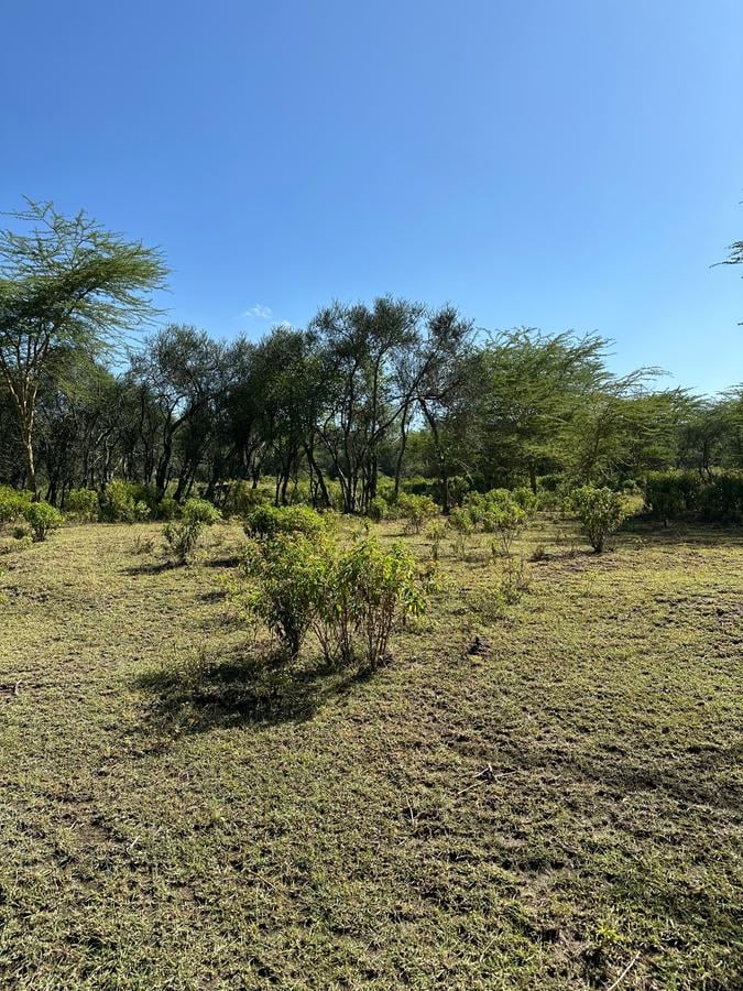 0.25 ac Residential Land at Lake Elementaita - 4