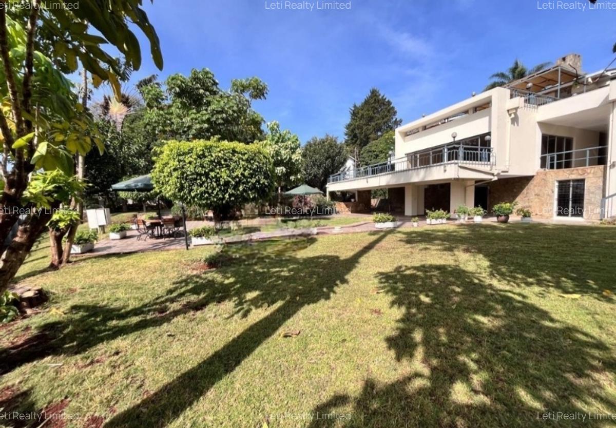 Commercial Property with Backup Generator in Lavington - 1