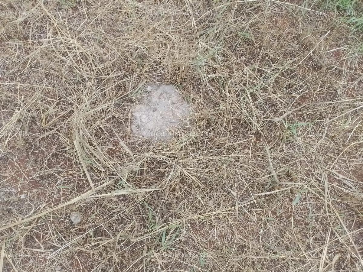 Residential Land in Tatu City - 8