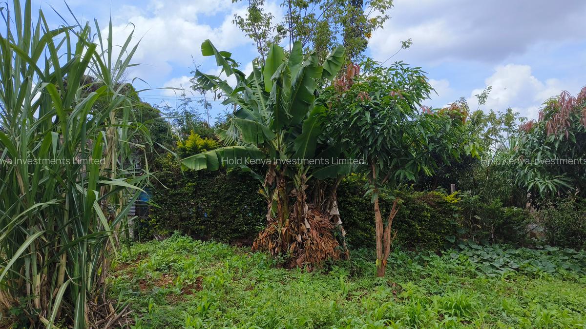 0.25 ac Residential Land at River Side Drive - 6
